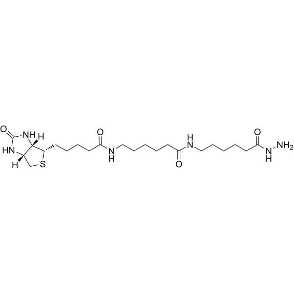 Biotin-XX hydrazide (Biotin-(AC5)2-hydrazide) 211237-33-1